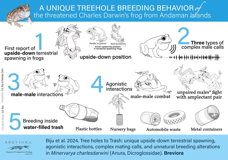 Darwin Frog Breeding Graphical Abstract