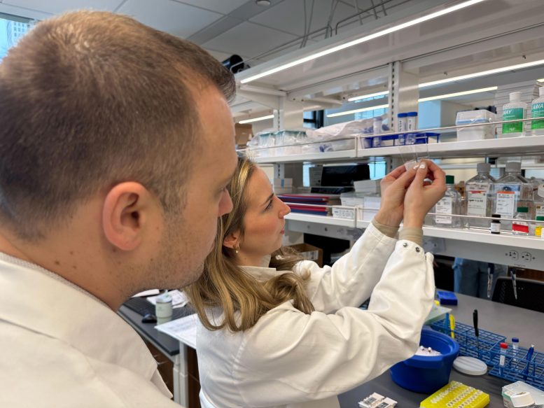David Gate and Lynn Van Olst Compare Brain Tissue Slides