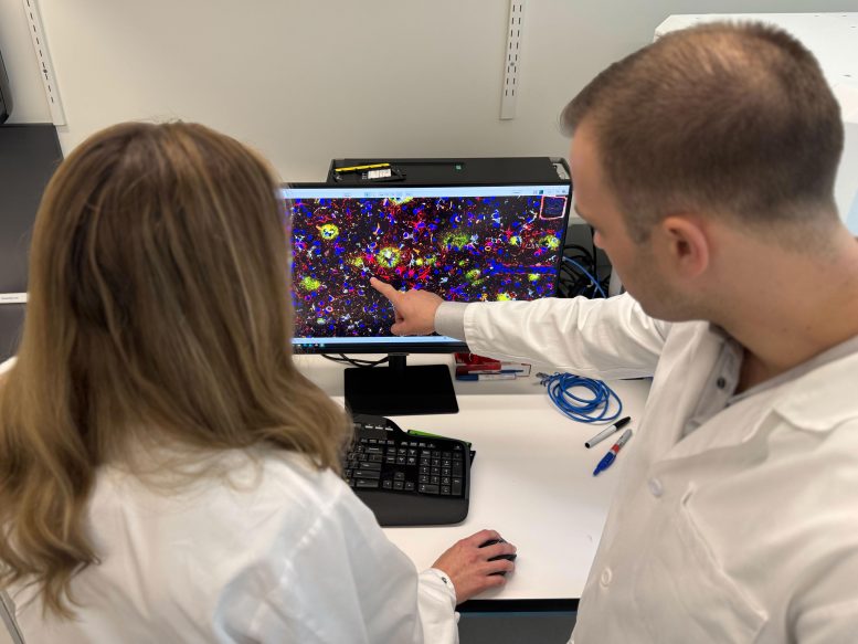 David Gate and Lynn Van Olst Examine a Computer Image of a Brain