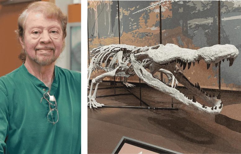 David Schwimmer and the Deinosuchus Schwimmeri Replica