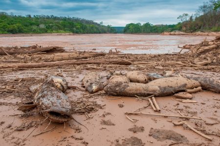 Eight Years Later: Unveiling the Unresolved Devastation of Brazil’s ...