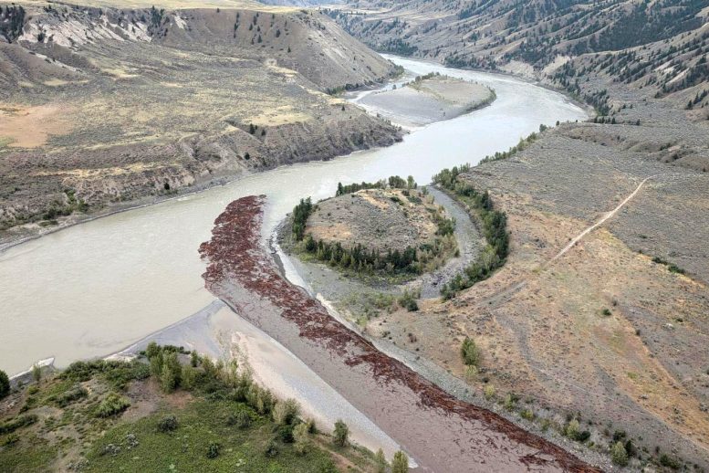 Debris Fraser River August 2024