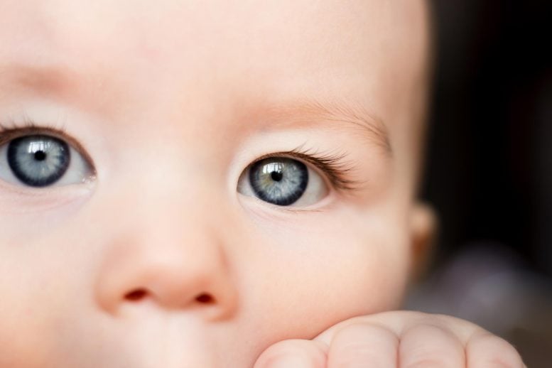 Deep Blue Sad Baby Eyes