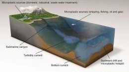 Deep Ocean Microplastic Hotspots