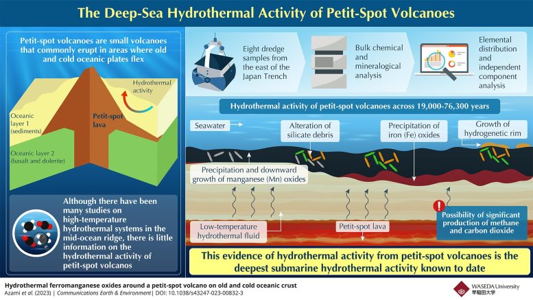 Deep-Sea Hydrothermal Activity of Petit-Spot Volcanoes