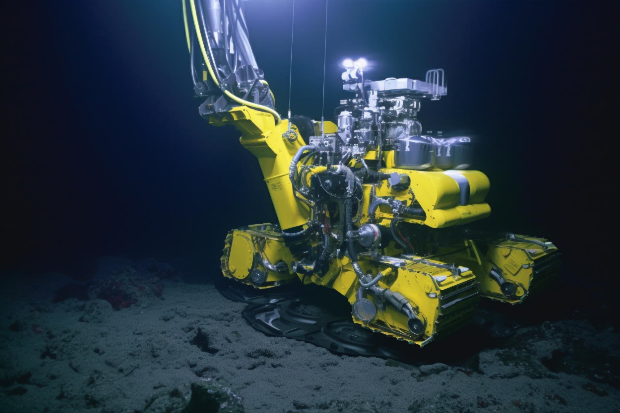 Impact of Deep-Sea Mining on Ocean Animals May Be “Even Bigger Than We ...