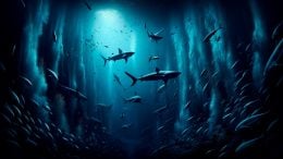 Deep Sea Predators Art Concept