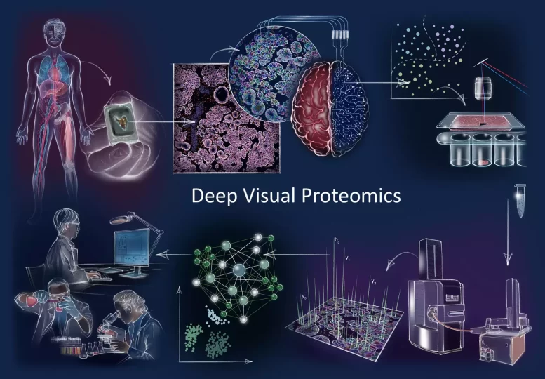 Deep Visual Proteomics