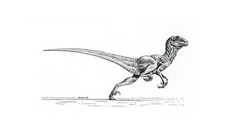 Deinonychus Dinosaur, Facts - Deinonychus Pictures.