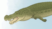 Deinosuchus Terror Crocodile