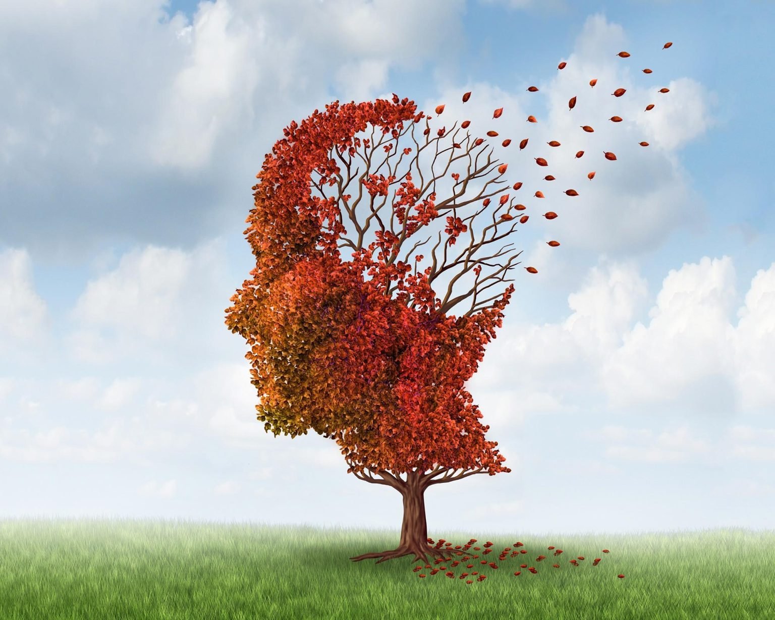 Dementia-Declining-Brain-Cognition-1536x