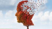 Dementia Declining Brain Cognition