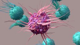 Dendritic Cells T Cells