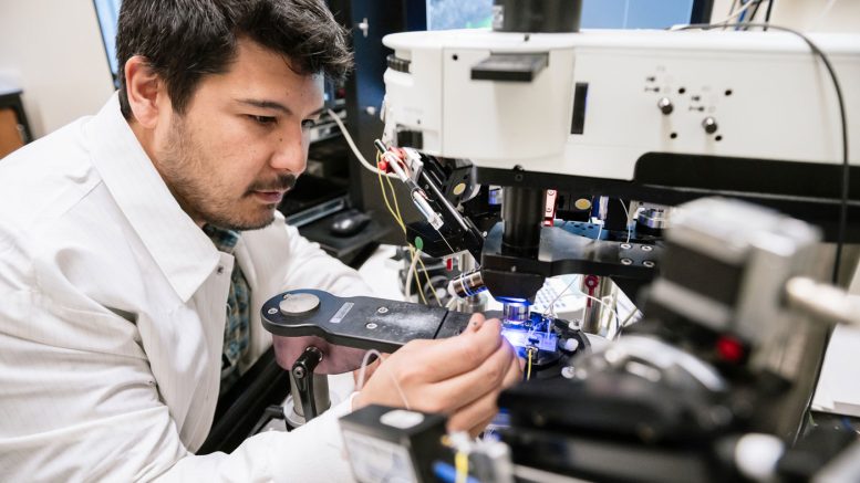 Dennis Tabuena in the Lab