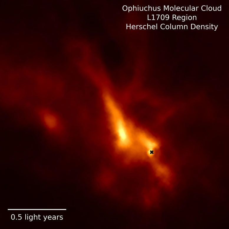 Dense L1709 Region of Ophiuchus Molecular Cloud