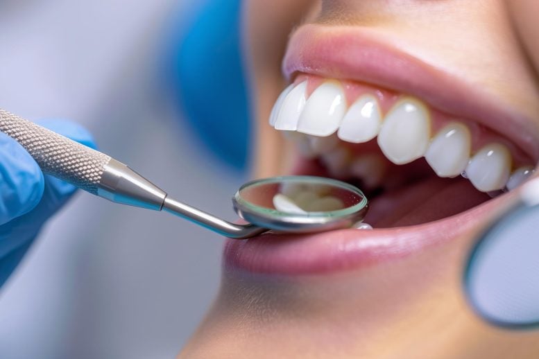 Dentist Examining Teeth Dental Hygiene Oral Health Care