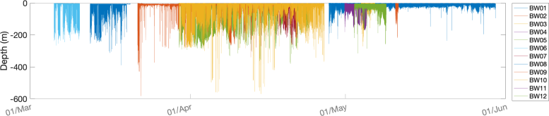 Depth Records From Tagged Bowhead Whales