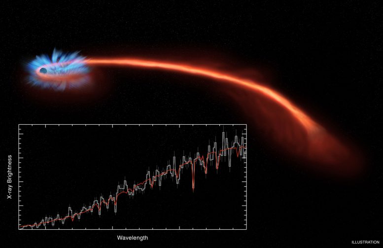 Destroyed Star Rains onto Black Hole, Winds Blow it Back