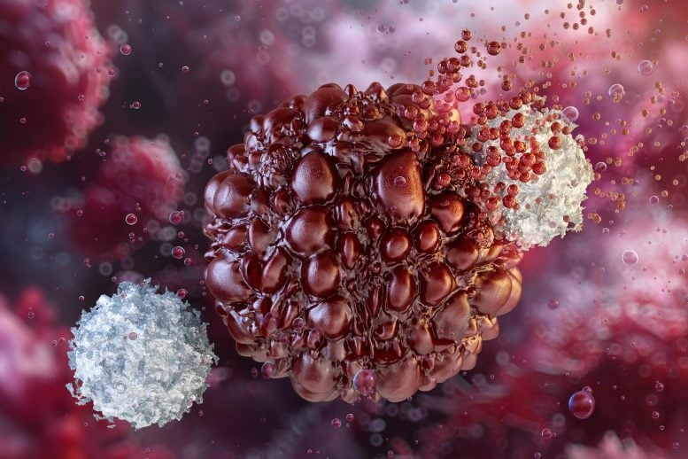 Destroying Cancer Cell NK Natural Killer Immune Cells