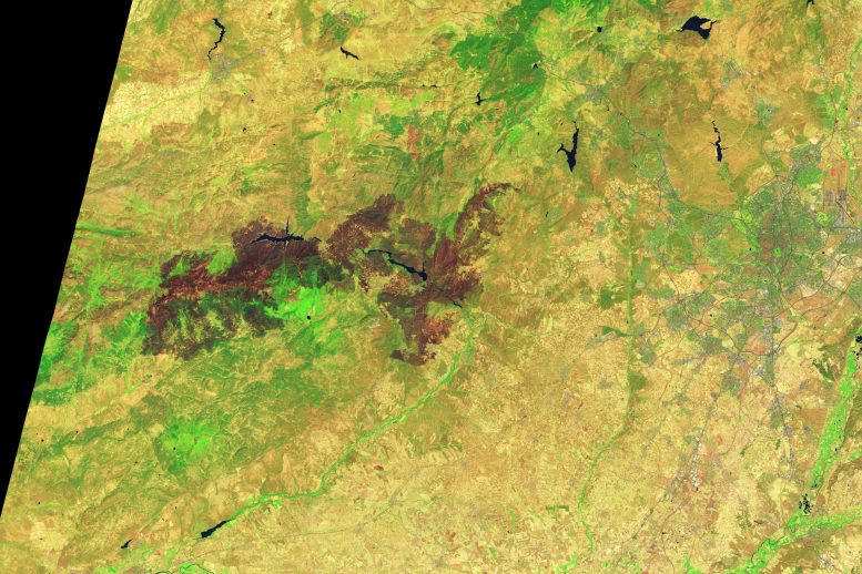 Destructive Fires Char Western Europe 2026