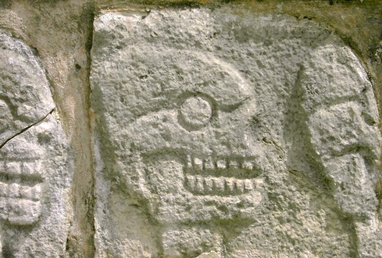 Detail From Stone Tzompantli at Chichén Itzá