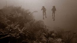 Detecting Detrimental Change in Coral Reefs