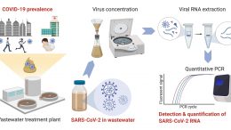 Detecting SARS-CoV-2 in Wastewater