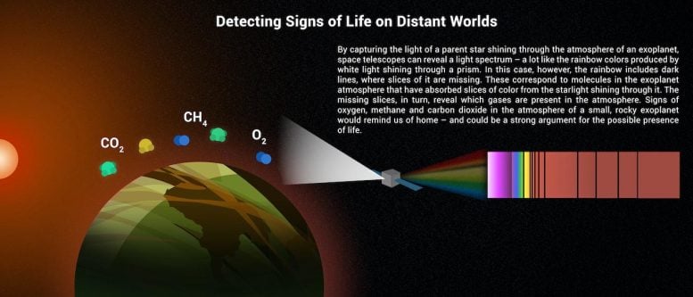 Detecting Signs of Life on Distant Worlds Infographic