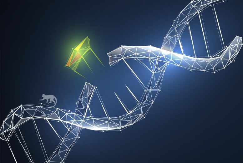 Developing Nonviral Gene Delivery System in Primate