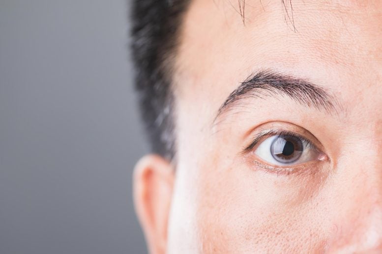 Scientists Uncover the “Root Cause” Triggering Early Diabetic Blindness