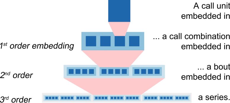 Diagram Demonstrating Three Level Recursion in Female Orangutan Vocalisations