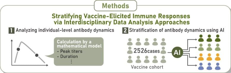 Diagram Showing Antibody Response Classification With AI Analysis