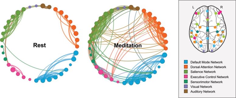 Diagram of Brain Network Connectivity During Meditation