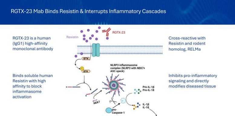 Diagram of RGTX 23 Blocking Inflammatory Signaling