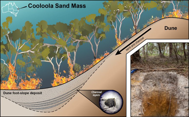 Diagram of Sedimentary Records Preserved in Foot Slope Deposits at the Base of Sand Dunes