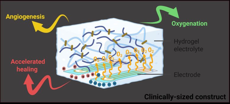 Diagram of Self Oxygenating Wound Healing Technology