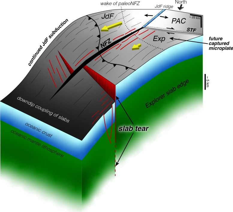 Diagram of the Cascadia Subduction Zone