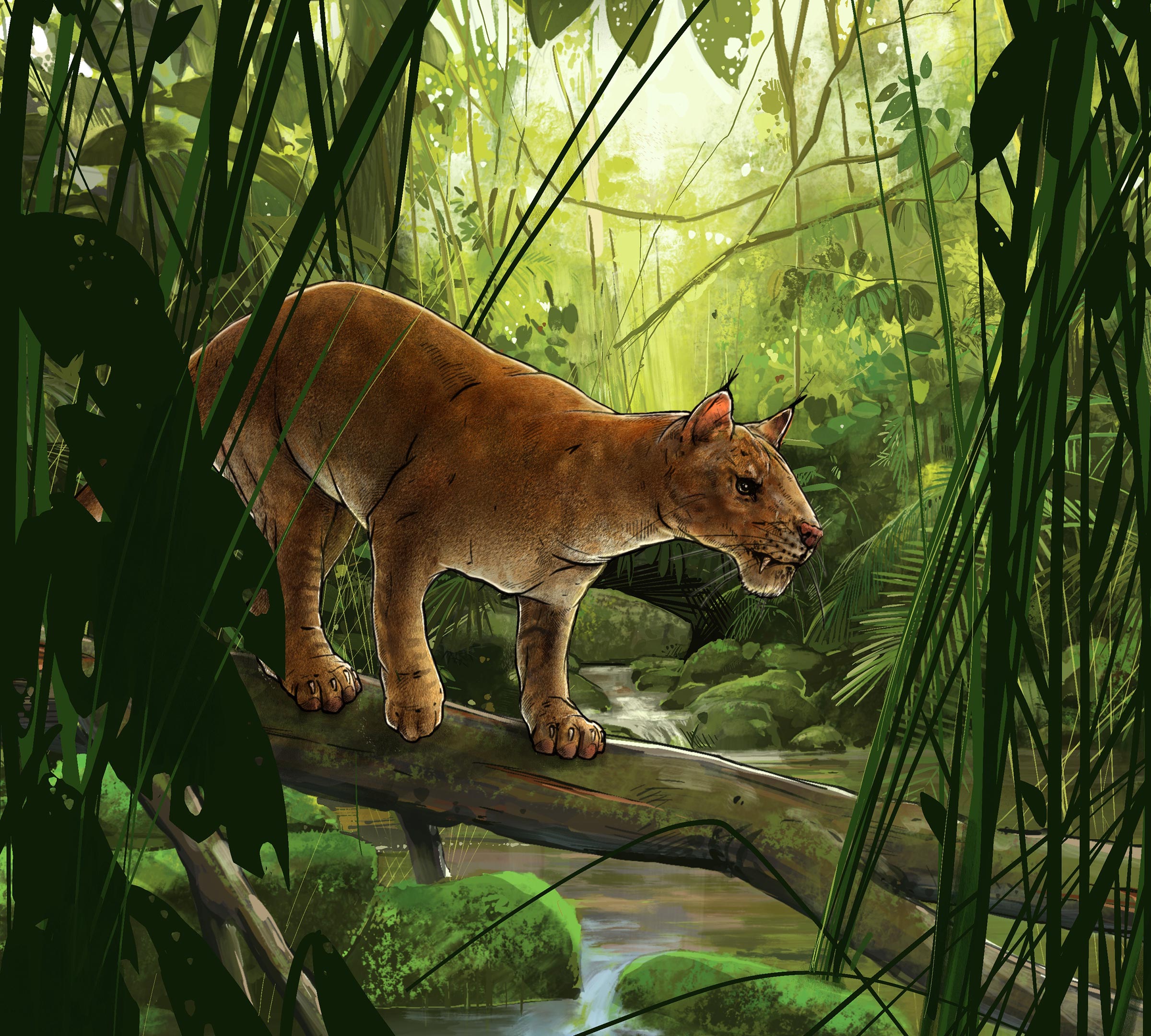 New Sabre-Tooth Predator Discovered That Precedes Cats by Millions of Years thumbnail