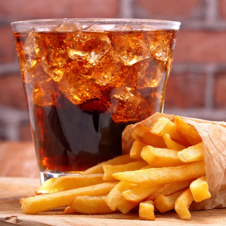 Diet Drink and French Fries
