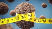 Diet Slow Tumor Growth