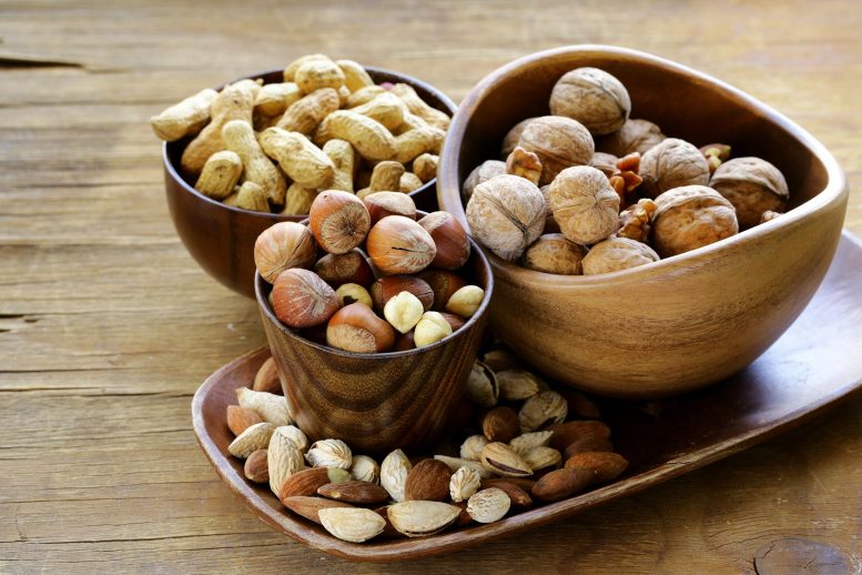 Different Kinds of Nuts