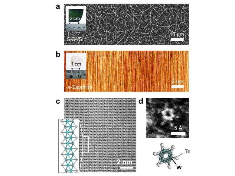 Different Substrate Different Nanowire Arrangement