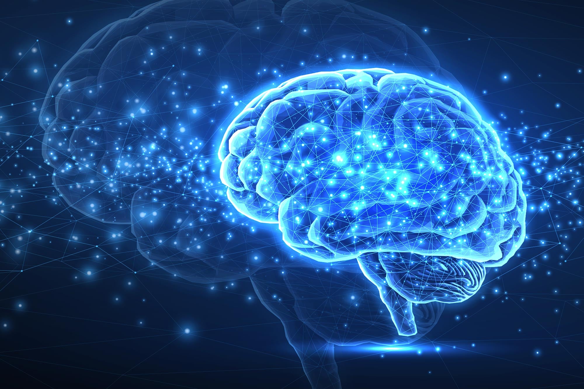 Scientists Are Surprised by How Closely the Brain Resembles AI