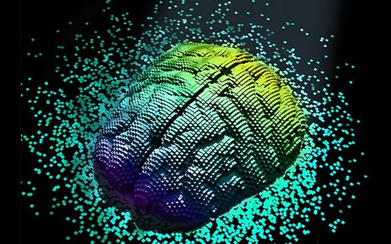 Digital Brain Illustration