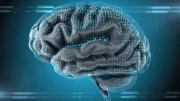 Digital Brain Scan AI Analysis