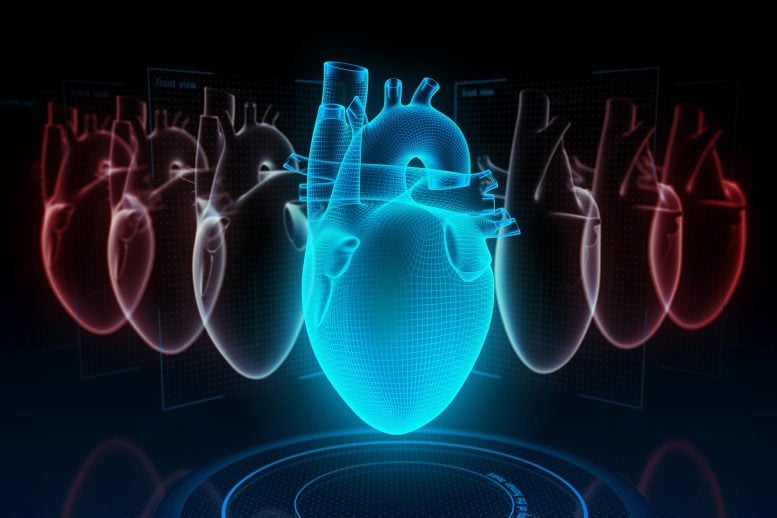 Digital Heart Models AI Scan