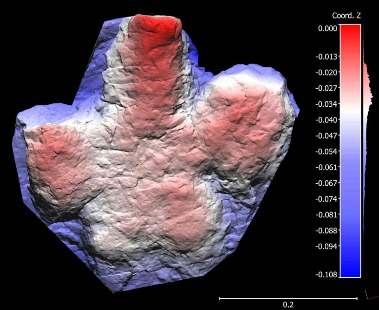 Digital Model of an Ornithopod