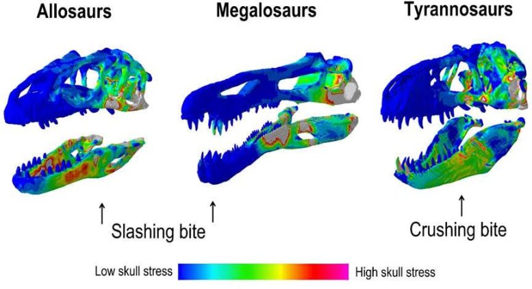 Dinosaur Bites