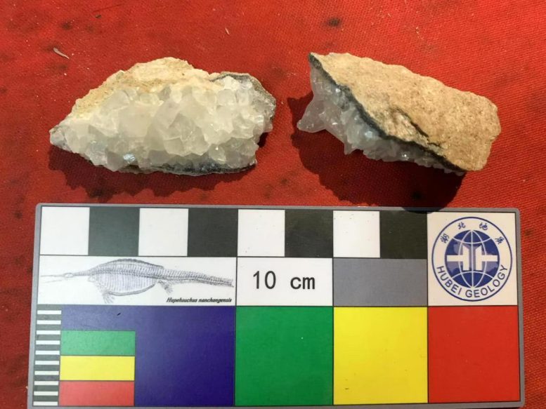 Fosilie dinosaura vejce vzorkovaná pro geochronologii