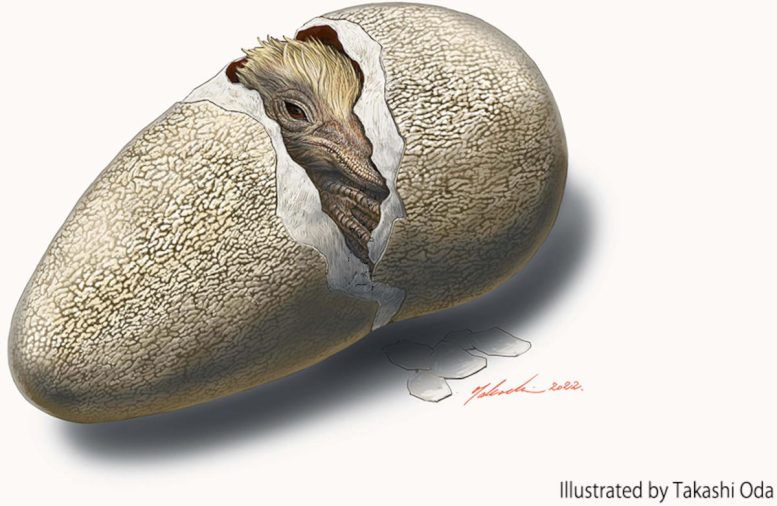 Dinosaur Egg Illustration